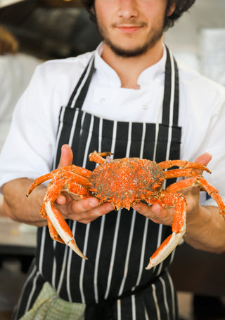 Person holding a crab wearing a black and white striped apron.