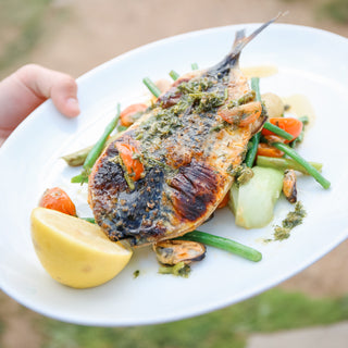 Plated dish of grilled fish with vegetables on a white plate