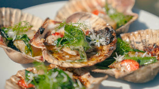 Scallops with herbs and vegetables on a white plate
