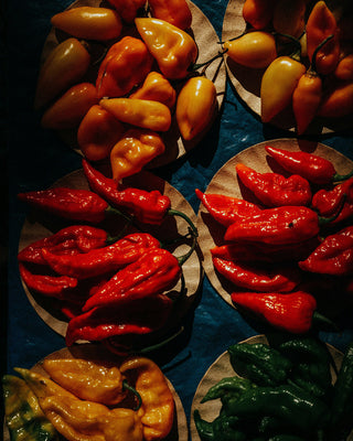What Is Naga Chilli? The World’s Hottest Pepper Explained