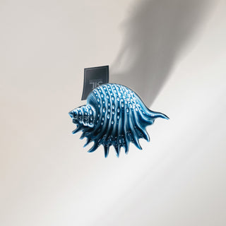 Coastal Themed Wax Melt & Oil Burner