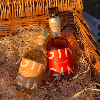 Sweet Gin Liqueur Duo