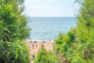 view of hive beach