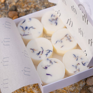 Dorset Sands Bergamot & Lily Scented Botanical Wax Melts