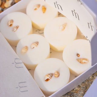 Saltwater Spell Scented Botanical Wax Melts